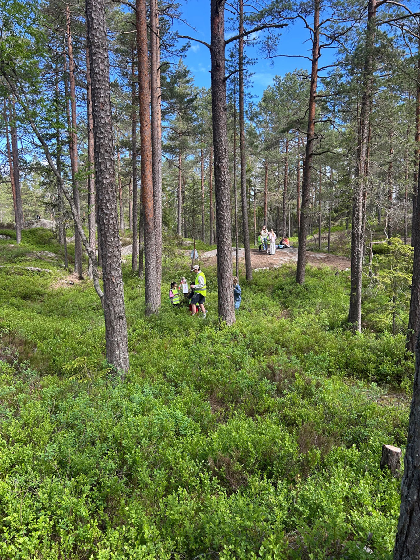 En gruppe mennesker som går gjennom en skog