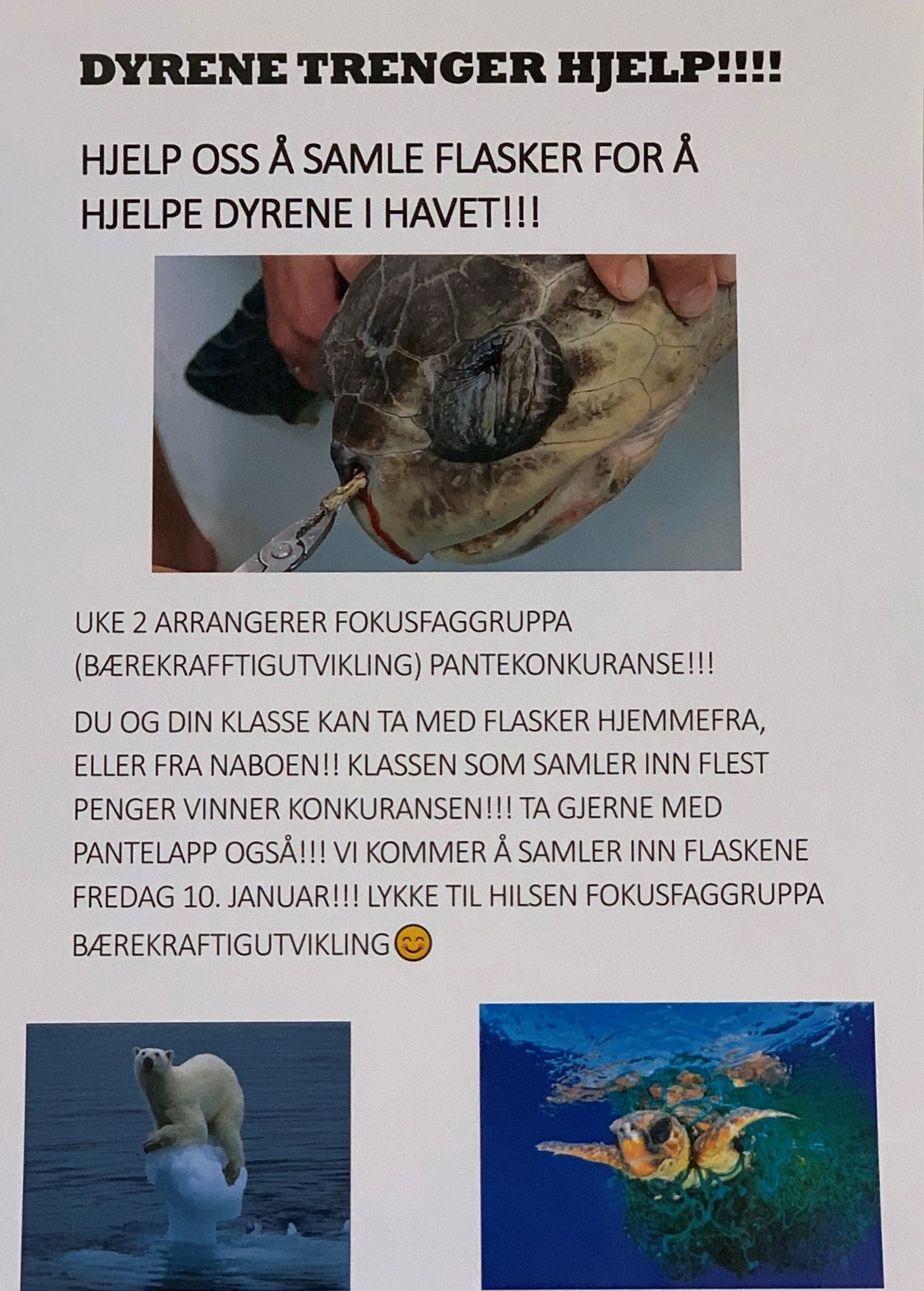 Hjelp oss å samle flasker for å redde dyrelivet i havet