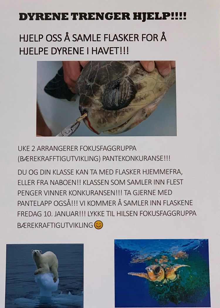 Hjelp oss å samle flasker for å redde dyrelivet i havet