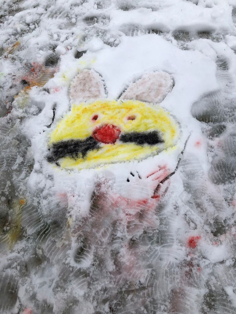 Dyreansikt i snøen