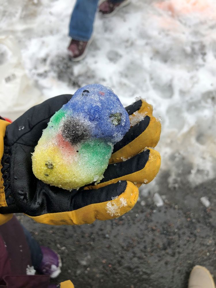 Fugl av snø