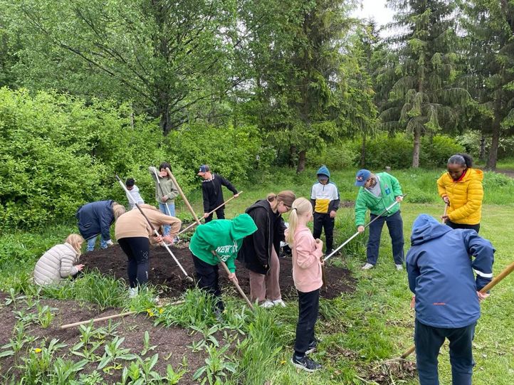 Planting i skolehagen