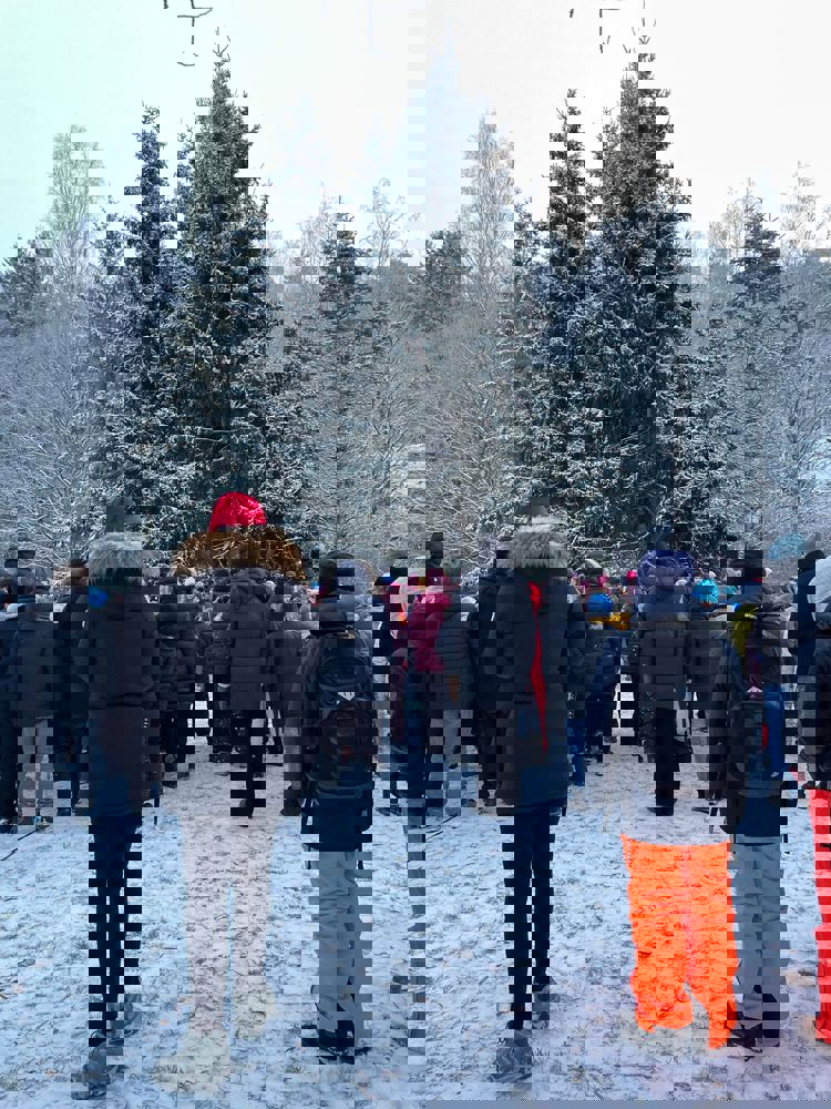 Julegrantenning