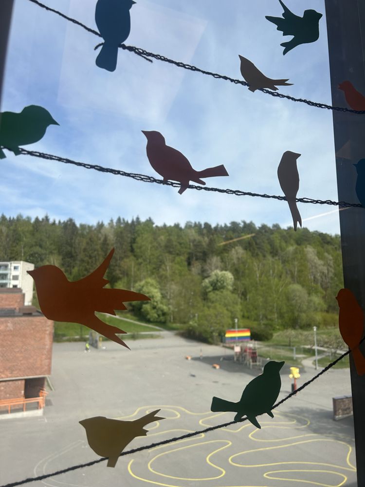 En gruppe fugler som flyr på himmelen