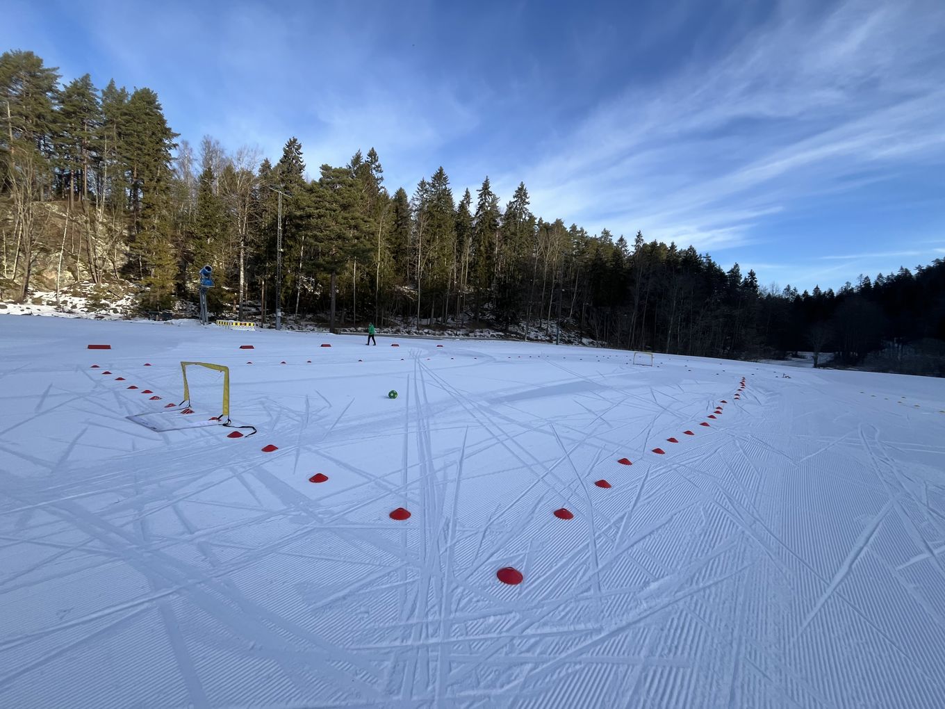 en snødekt eng med trær i bakgrunnen en snødekt eng med trær i bakgrunnen